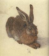 Albrecht Durer A Young Hare painting